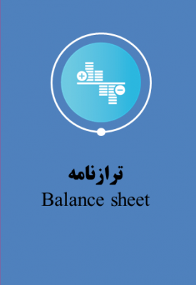 تهیه صورت مالی